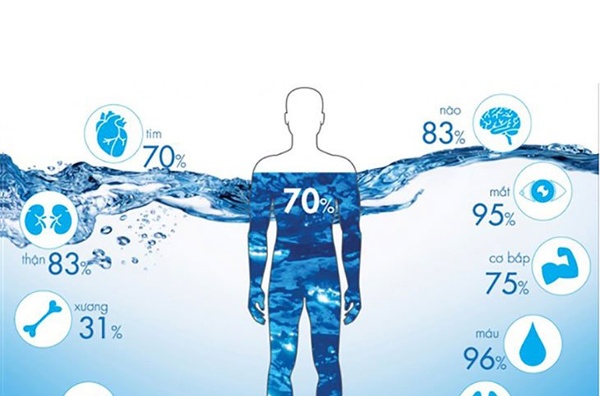 Tại sao uống nước lọc lại giảm cân?